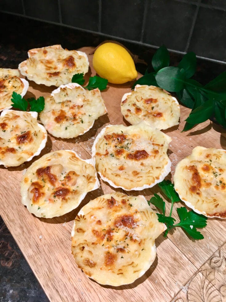 The Best Coquilles Saint Jacques (Baked Scallop Shells) fed by sab