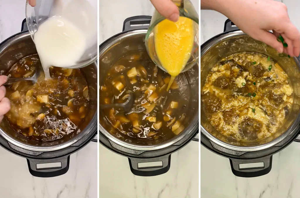 steps for making hot and sour soup in an instant pot