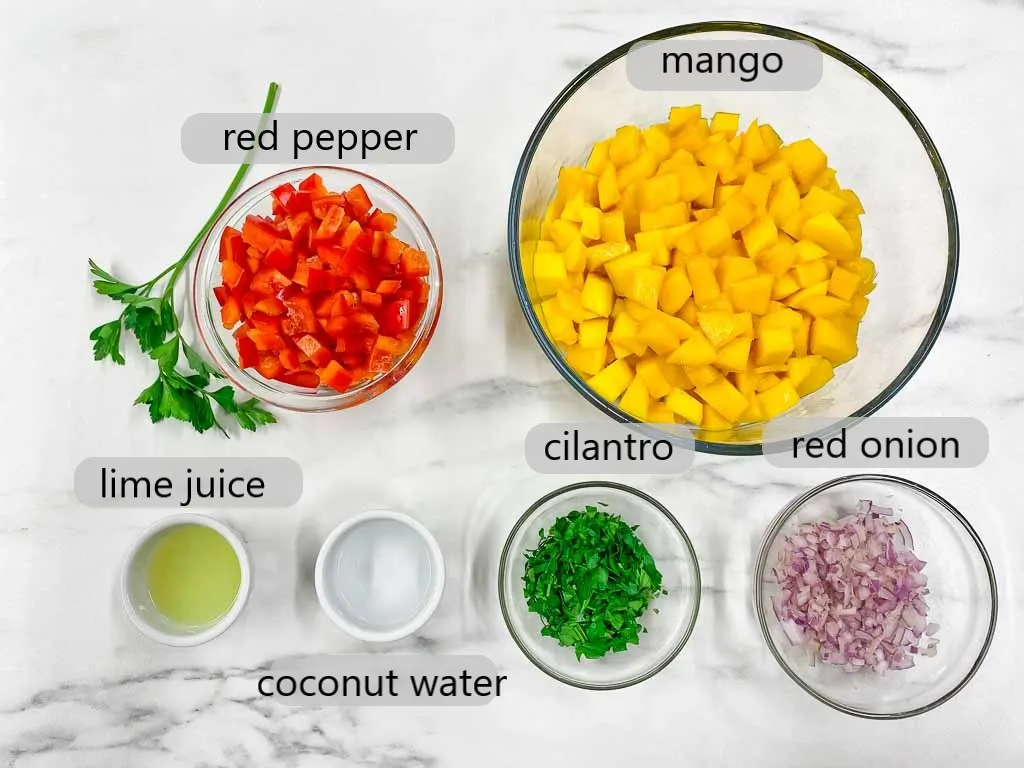 mango salsa ingredients in bowls (mango, red pepper, lime juice, coconut water, cilantro, red onion)