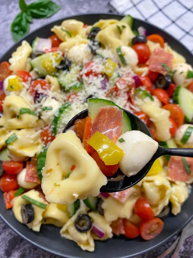 Italian antipasto tortellini pasta salad recipe in a black bowl with basil garnish