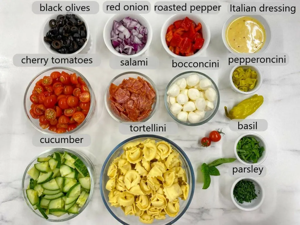 bowls with black olives, red onion, roasted red pepper, Italian dressing, cherry tomatoes, salami, bocconcini, pepperoncini, cucumber, tortellini, basil and parsley the ingredients to make Italian antipasto salad