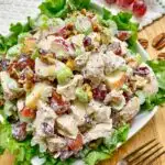 chicken waldorf salad plated on a bed of lettuce