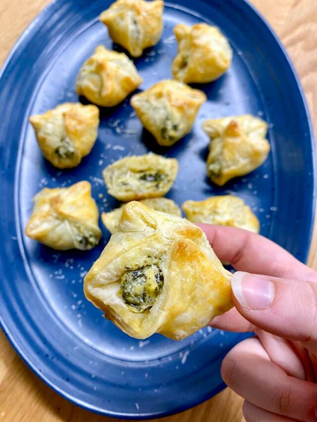 Spinach Artichoke Dip Bites fed by sab