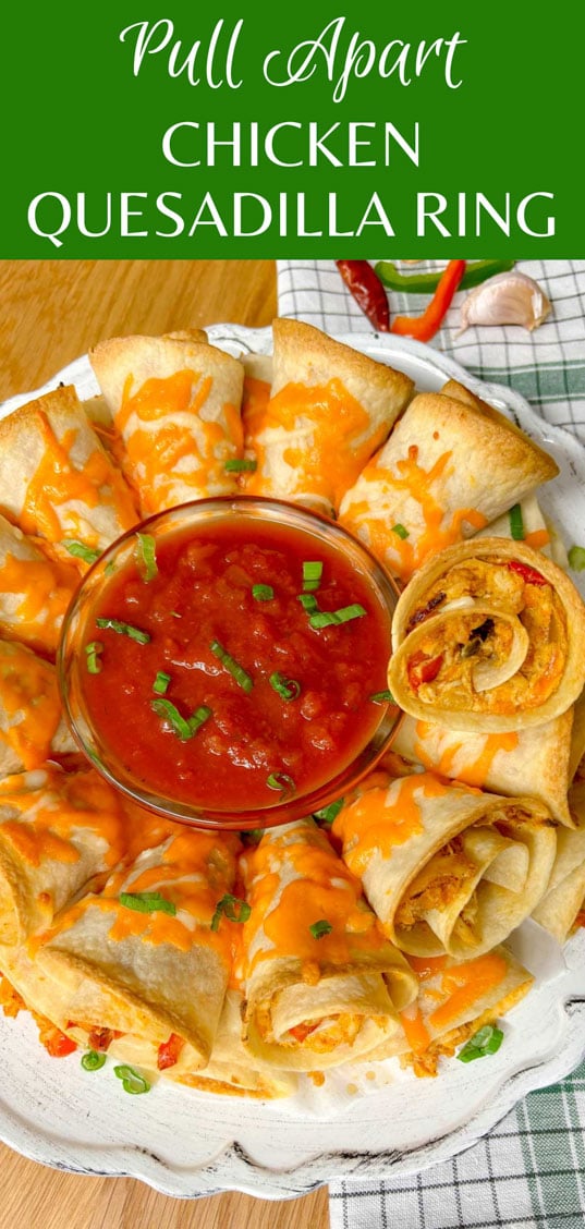 a white platter has a chicken quesadilla ring on it garnished with green onions and a bowl of salsa in the middle.