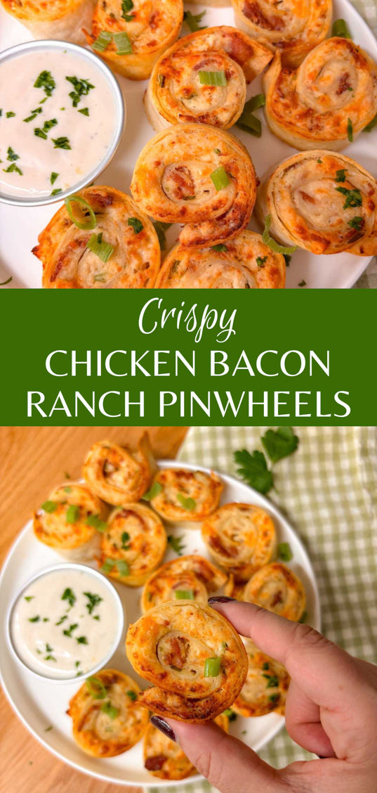 Pinterest image with the recipe name and a photo of the plated recipe